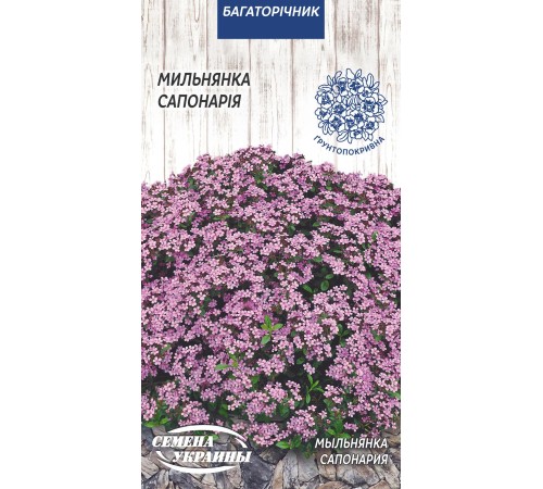Семена Мыльнянка (Сапонария), 0,2 г. Семена Мыльнянка (Сапонария), 0,2 г.