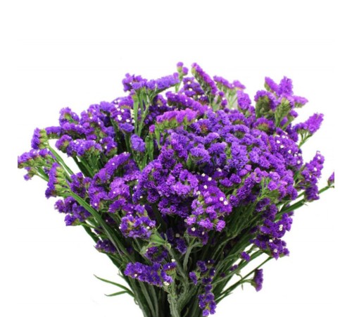 Семена Статица Симфония, 0,2 г.