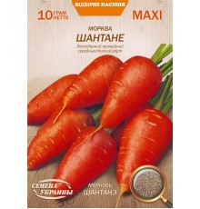 Семена Эконом пак. - Морковь Шантанэ, 10 г.