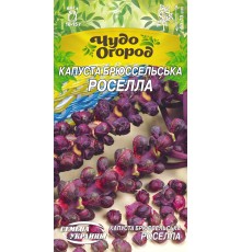 Семена Капуста брюссельская Роселла, 0,5 г.