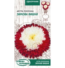Семена Астра Зимняя вишня, помпонная, 0,25 г.