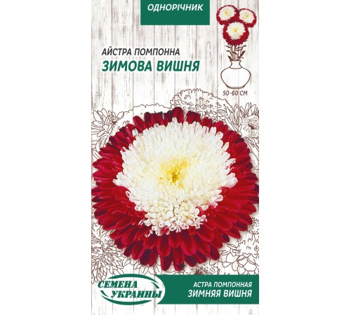 Семена Астра Зимняя вишня, помпонная, 0,25 г. Семена Астра Зимняя вишня, помпонная, 0,25 г.