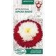 Семена Астра Зимняя вишня, помпонная, 0,25 г.