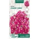 Семена Статица Розовое сияние, 0,2 г.