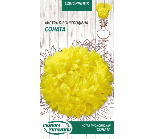 Семена Астра Соната, пионовидная, 0,25 г. Семена Астра Соната, пионовидная, 0,25 г.