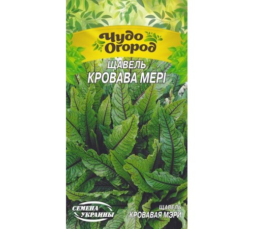 Семена Щавель Кровавая Мэри, 0,1 г. Семена Щавель Кровавая Мэри, 0,1 г.