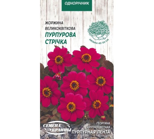 Семена Георгина Пурпурная лента, крупноцветная, 0,2 г. Семена Георгина Пурпурная лента, крупноцветная, 0,2 г.