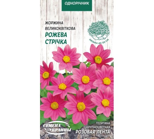 Семена Георгина Розовая лента, крупноцветная, 0,2 г. Семена Георгина Розовая лента, крупноцветная, 0,2 г.
