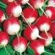 Семена Эконом пак. - Редис Красный с белым кончиком, 20 г.