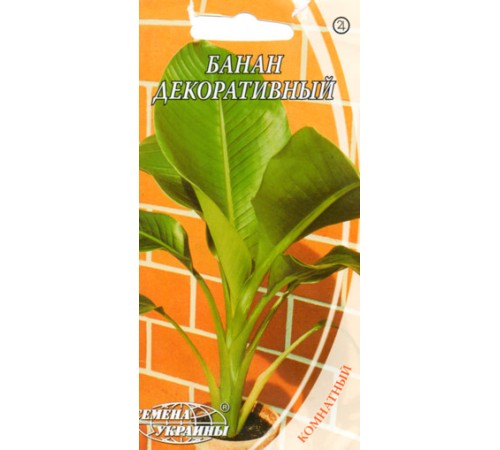 Семена Банан декоративный, 3 шт. Семена Банан декоративный, 3 шт.