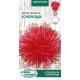 Семена Астра Эсмеральда, игольчатая, 0,25 г.