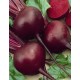 Семена Эконом пак. - Свекла Бордо 237, 10 г.