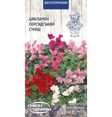 Семена Цикламен персидский смесь, 5 шт.