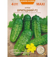 Семена Эконом пак. - Огурец Бригадный F1, 4 г.