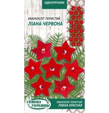 Семена Квамоклит перистый Лиана красная, 0,25 г.