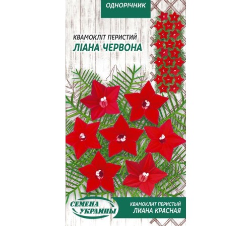 Семена Квамоклит перистый Лиана красная, 0,25 г. Семена Квамоклит перистый Лиана красная, 0,25 г.
