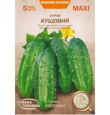 Семена Эконом пак. - Огурец Кустовой, 5 г.