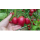 Семена Томат Де барао розовый 0,1 г.