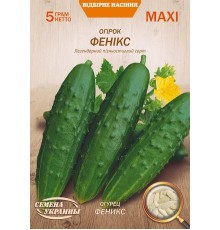 Семена Эконом пак. - Огурец Феникс, 5 г. ОС