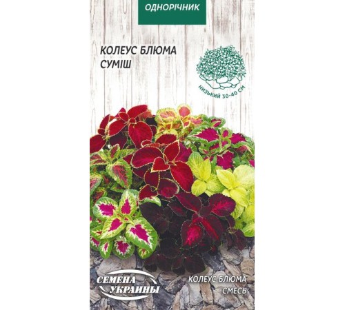 Семена Колеус Блюма, смесь, 0,05 г. Семена Колеус Блюма, смесь, 0,05 г.