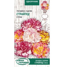 Семена Гвоздика Страйпед, садовая, смесь, 0,1 г.