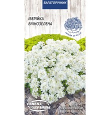 Семена Иберис Вечнозеленый, 0,1 г.