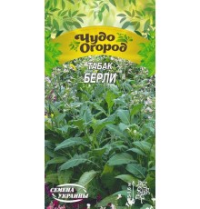 Семена Табак Берли, 0,1 г.