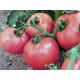 Семена Томат Розовые щёчки, 0,2 г.