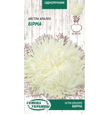 Семена Астра Бирма, краллен, 0,25 г.