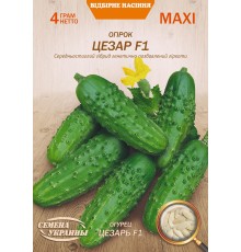 Семена Эконом пак. - Огурец Цезарь F1, 4 г.