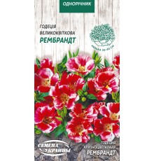 Семена Годеция Рембрандт, крупноцветковая, 0,2 г.