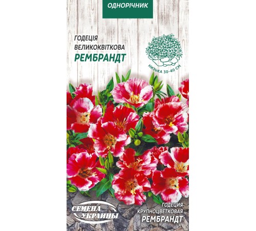 Семена Годеция Рембрандт, крупноцветковая, 0,2 г. Семена Годеция Рембрандт, крупноцветковая, 0,2 г.