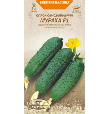Семена Огурец Муравей F1, 0,25 г.