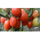 Семена Томат Феномен 0,1 г. ОС