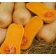 Семена Эконом пак. - Тыква Новинка, мускатная, 10 г.