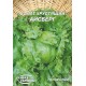 Семена Эконом пак. - Салат Айсберг, хрустящий, 10 г.
