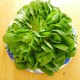Семена Салат Балконный зеленый, листовой, 0,5 г.