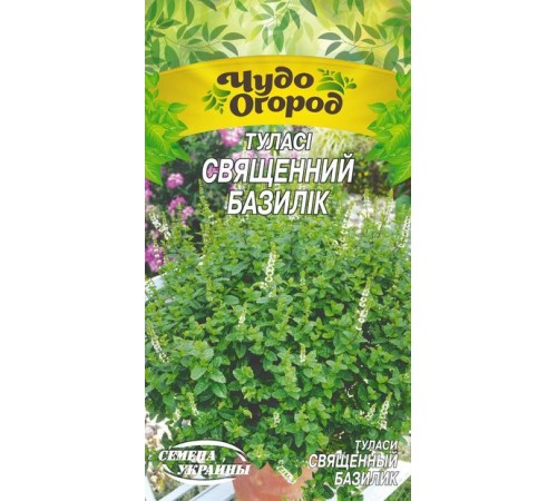 Семена Туласи Священный базилик, 0,1 г. Семена Туласи Священный базилик, 0,1 г.