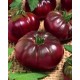 Семена Эконом пак. - Томат Черный принц, 1 г.