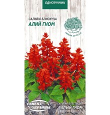 Семена Сальвия блестящая Алый гном, 0,2 г.