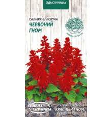 Семена Сальвия блестящая Красный гном, 0,2 г.
