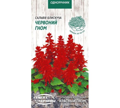 Семена Сальвия блестящая Красный гном, 0,2 г.