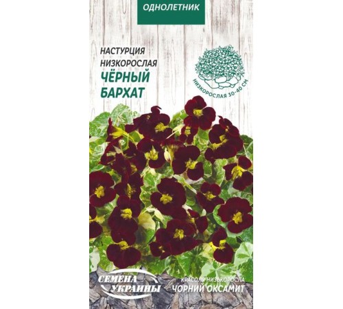 Семена Настурция Черный бархат, низкорослая, 1 г. Семена Настурция Черный бархат, низкорослая, 1 г.