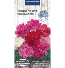 Семена Гвоздика перистая Махровая смесь, 0,2 г.