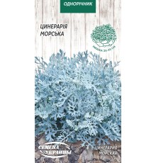 Семена Цинерария Морская, 0,1 г.
