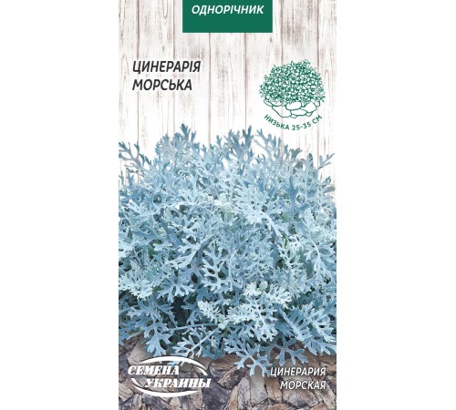 Семена Цинерария Морская, 0,1 г. Семена Цинерария Морская, 0,1 г.