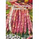 Семена Эконом пак. - Фасоль Борлотто, спаржевая, 20 г.