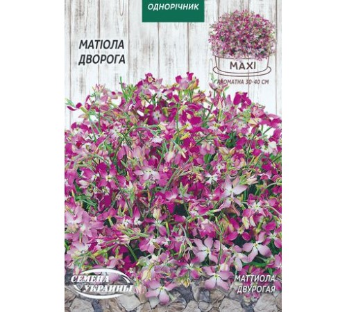 Семена Эконом пак. - Маттиола Двурогая, 5 г. Семена Эконом пак. - Маттиола Двурогая, 5 г.