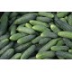 Семена Огурец Кураж F1, 0,25 г. ОС