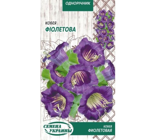 Семена Кобея Фиолетовая, 0,3 г. Семена Кобея Фиолетовая, 0,3 г.